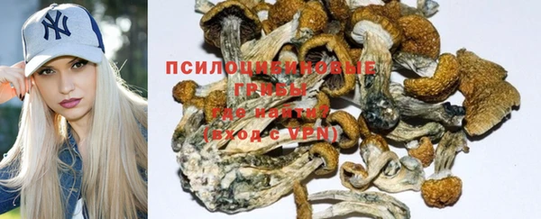 МДПВ Осинники