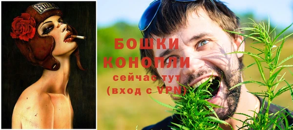 МДПВ Осинники