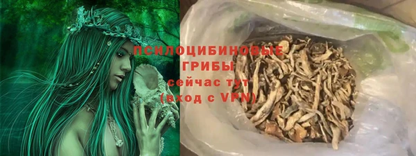 МДПВ Осинники